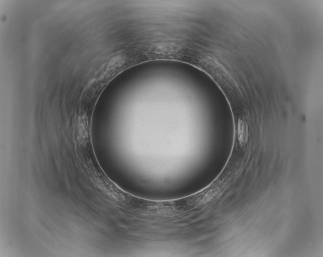 X0000089671107200706211147
