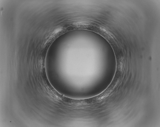 X0000089671108200706211147