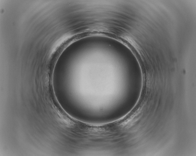 X0000089671115200706211147