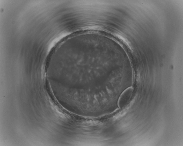X0000089671117200706211147