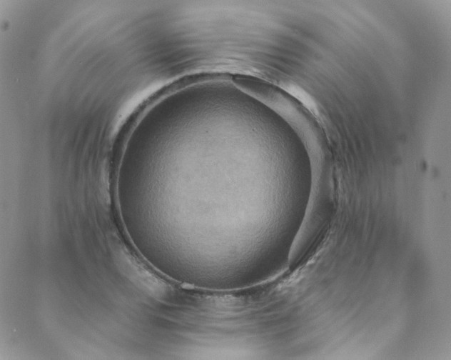 X0000089671120200706211147