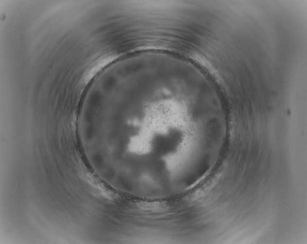 X0000089671121200706211147