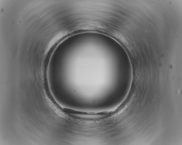 X0000089671122200706211147