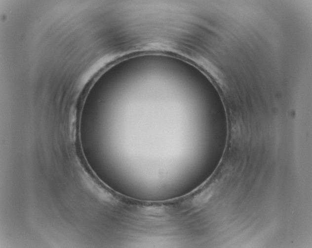 X0000089671126200706211147