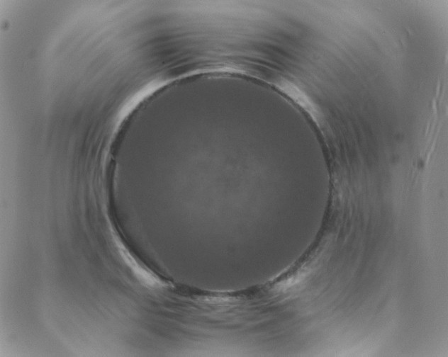 X0000089671127200706211147