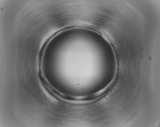 X0000089671128200706211147