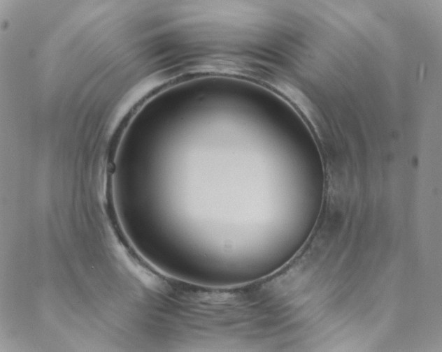 X0000089671131200706211147
