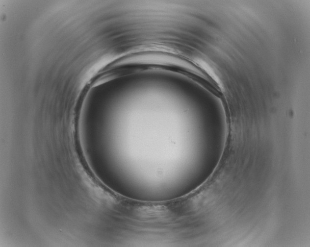 X0000089671133200706211147