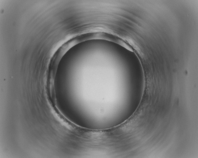 X0000089671134200706211147