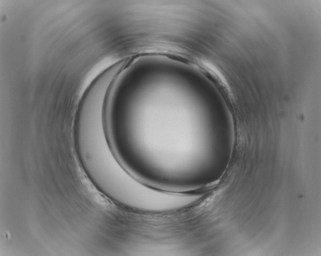 X0000089671138200706211147