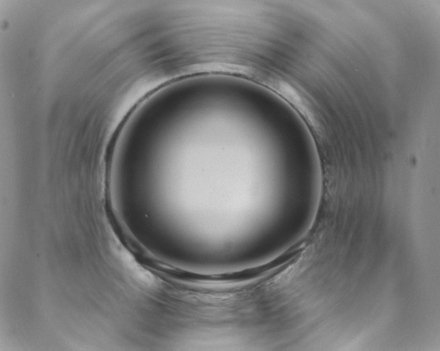 X0000089671140200706211147