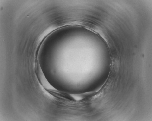 X0000089671143200706211147