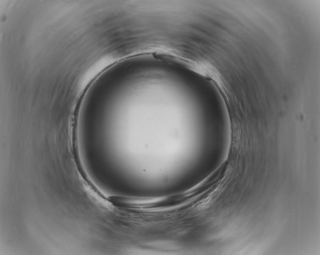 X0000089671151200706211148