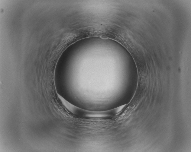 X0000089671153200706211147