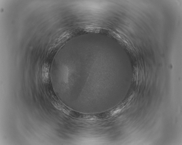 X0000089671154200706211147