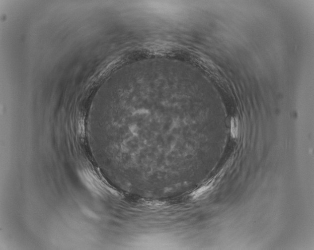 X0000089671155200706211147