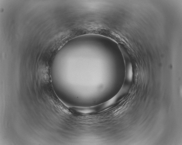 X0000089671156200706211147