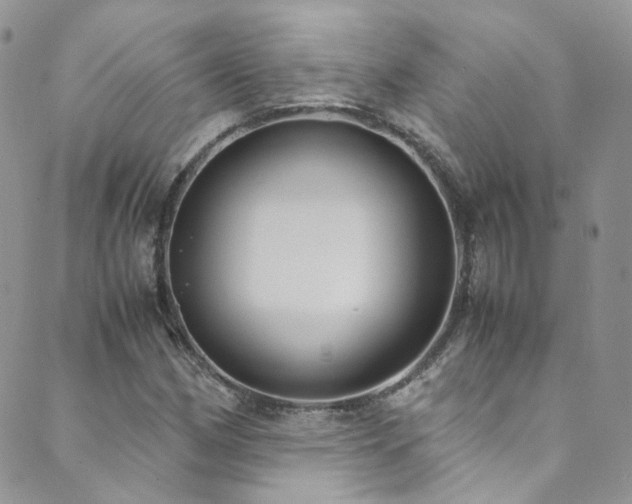 X0000089671162200706211147