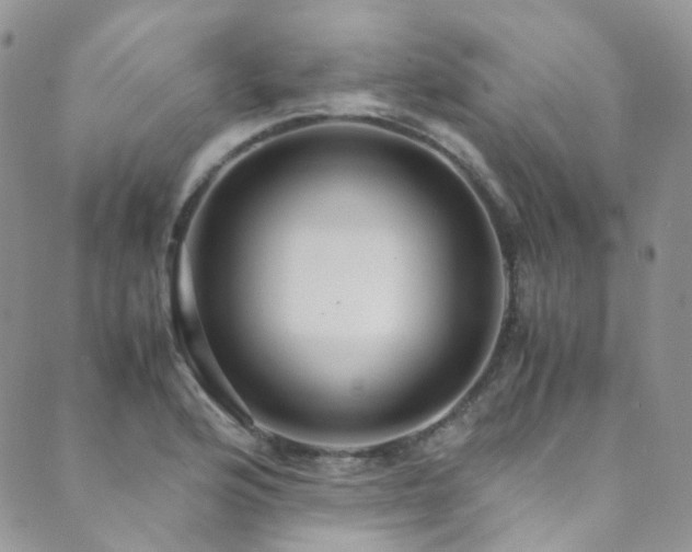 X0000089671176200706211146