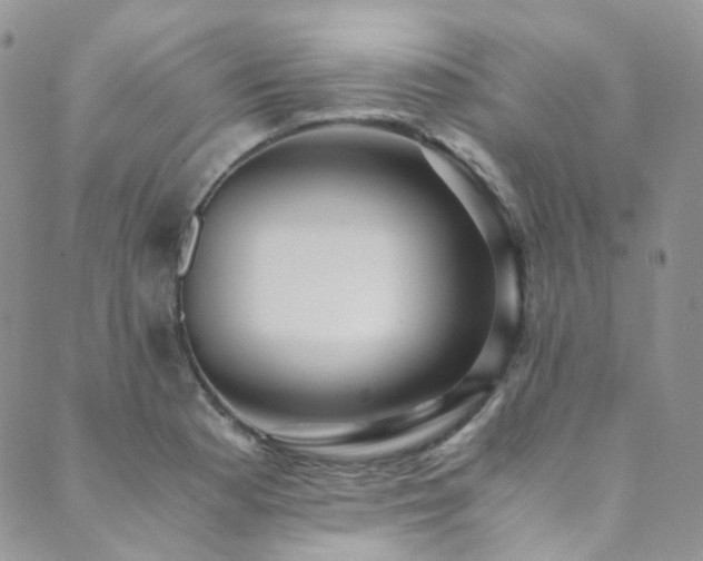 X0000089671177200706211146