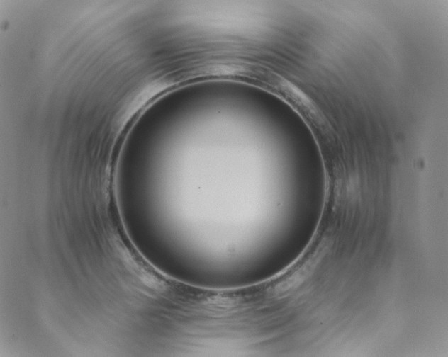 X0000089671178200706211146