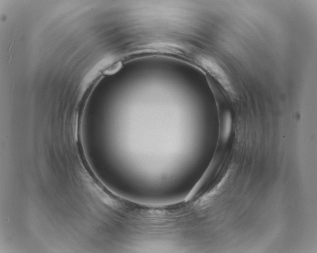 X0000089671180200706211146