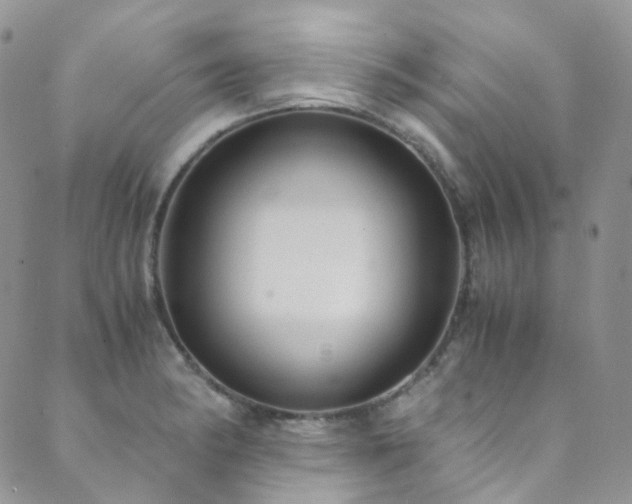 X0000089671182200706211146