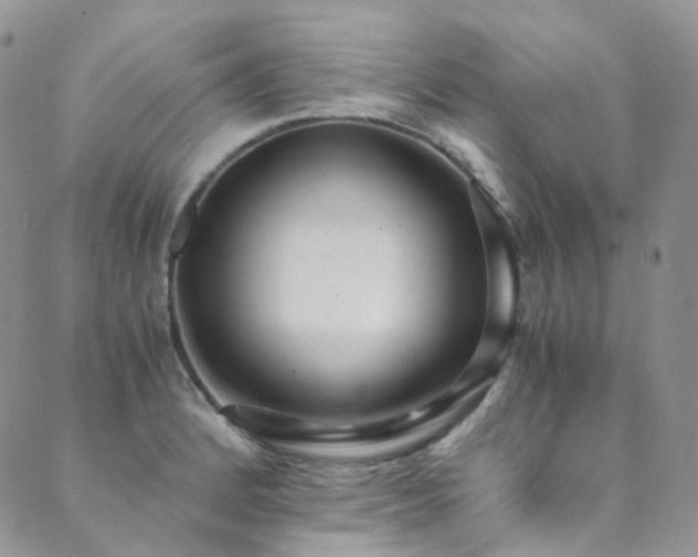 X0000089671184200706211146