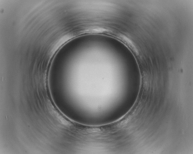 X0000089671186200706211146