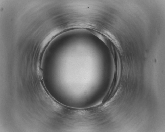 X0000089671188200706211146