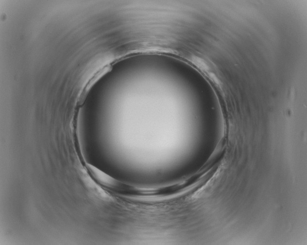 X0000089671189200706211146