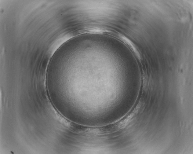X0000089671194200706211146
