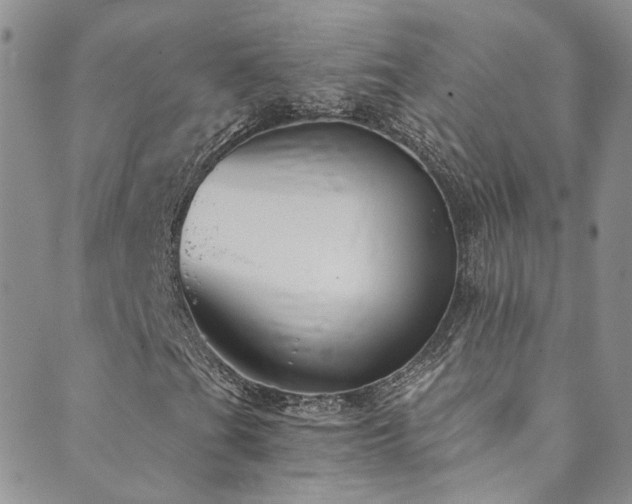 X0000089671201200706211145
