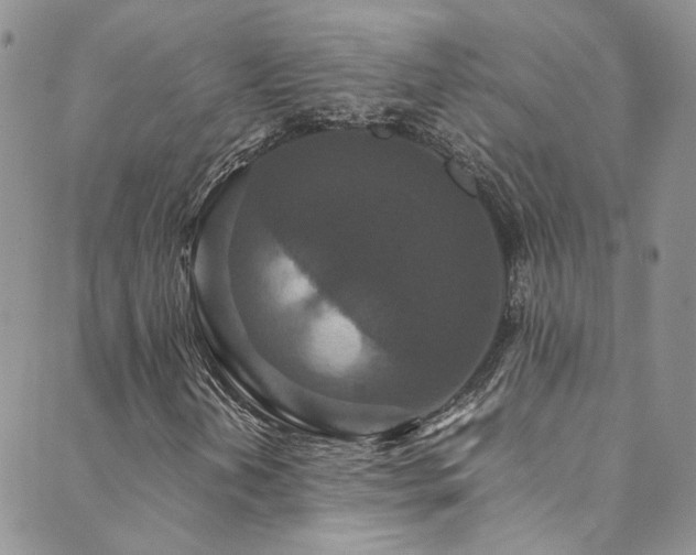 X0000089671202200706211145