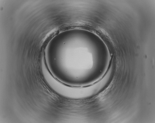 X0000089671210200706211145