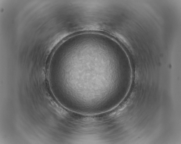 X0000089671212200706211145
