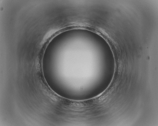 X0000089671215200706211145