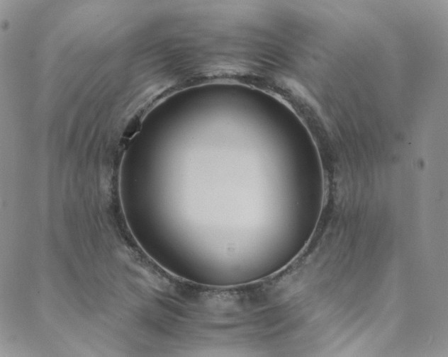X0000089671217200706211146