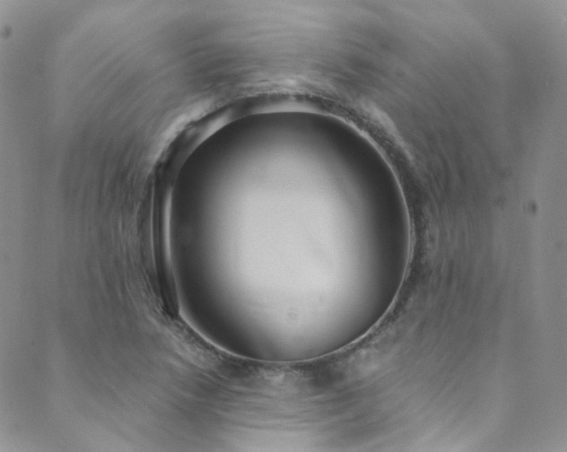 X0000089671218200706211146