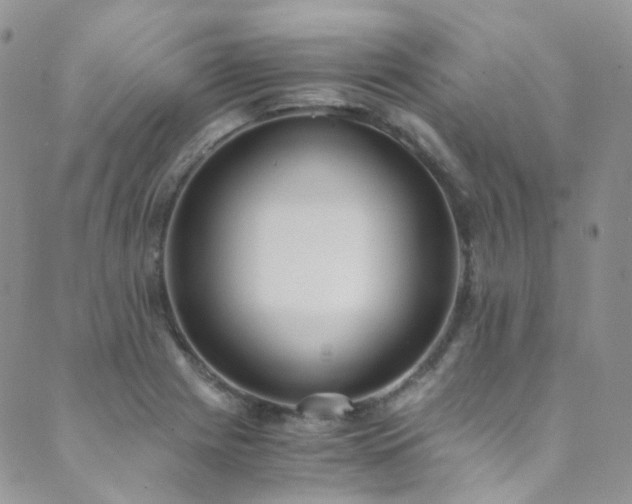 X0000089671225200706211146