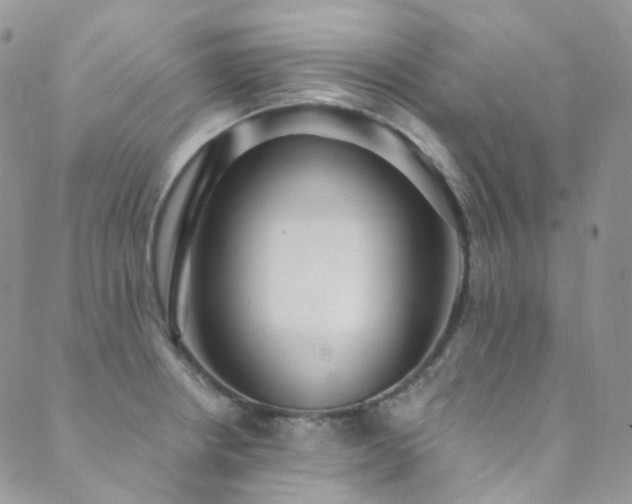 X0000089671234200706211146