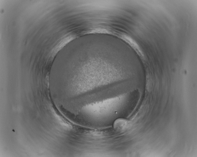 X0000089671241200706211146