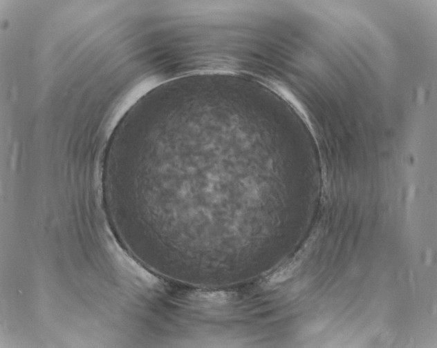 X0000089671243200706211146