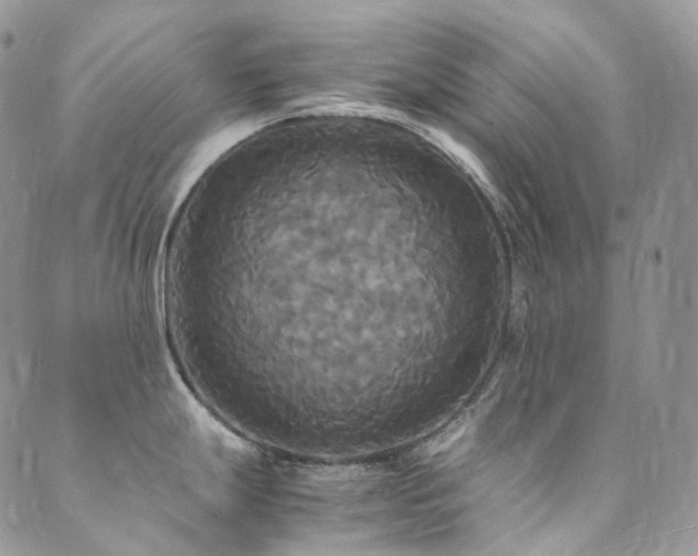 X0000089671247200706211146