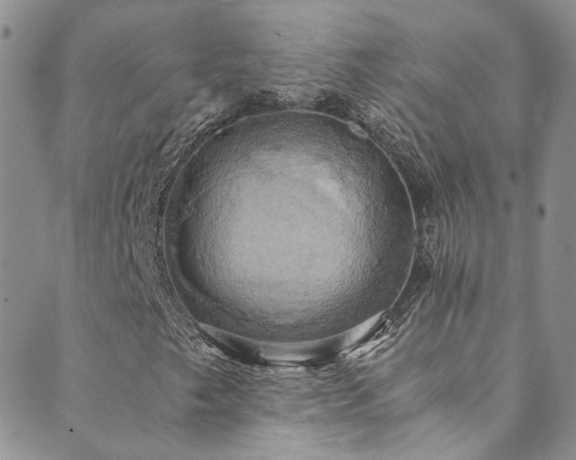X0000089671249200706211145