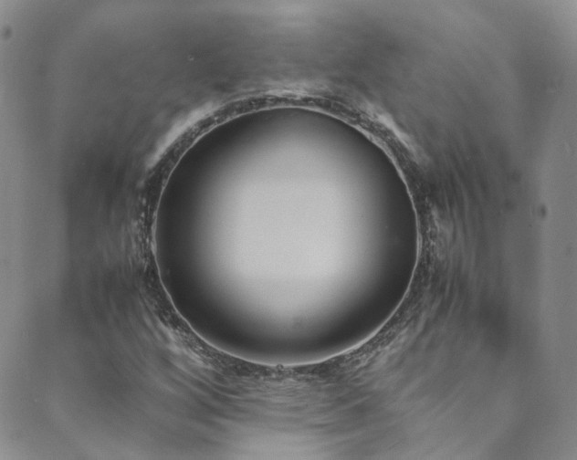 X0000089671256200706211145