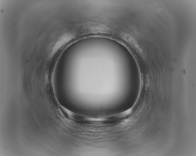 X0000089671261200706211145