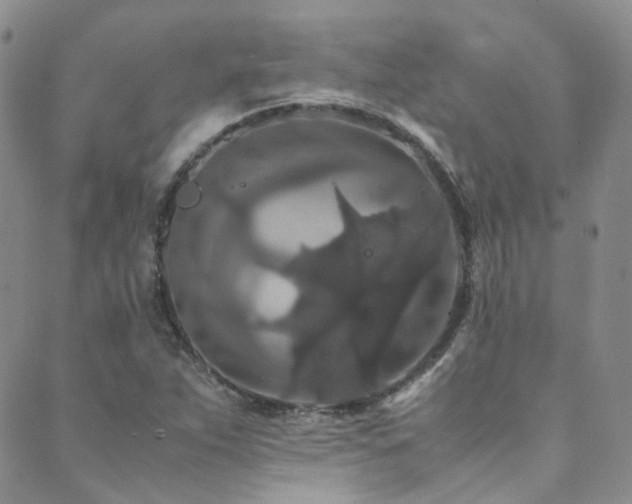 X0000089671263200706211145