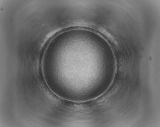 X0000089671264200706211145
