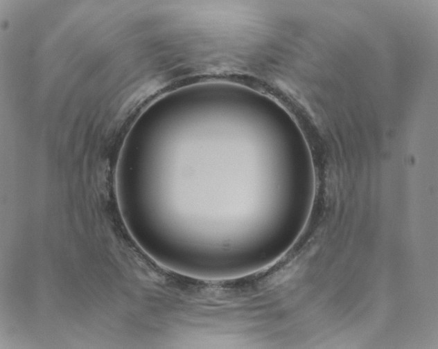 X0000089671265200706211145